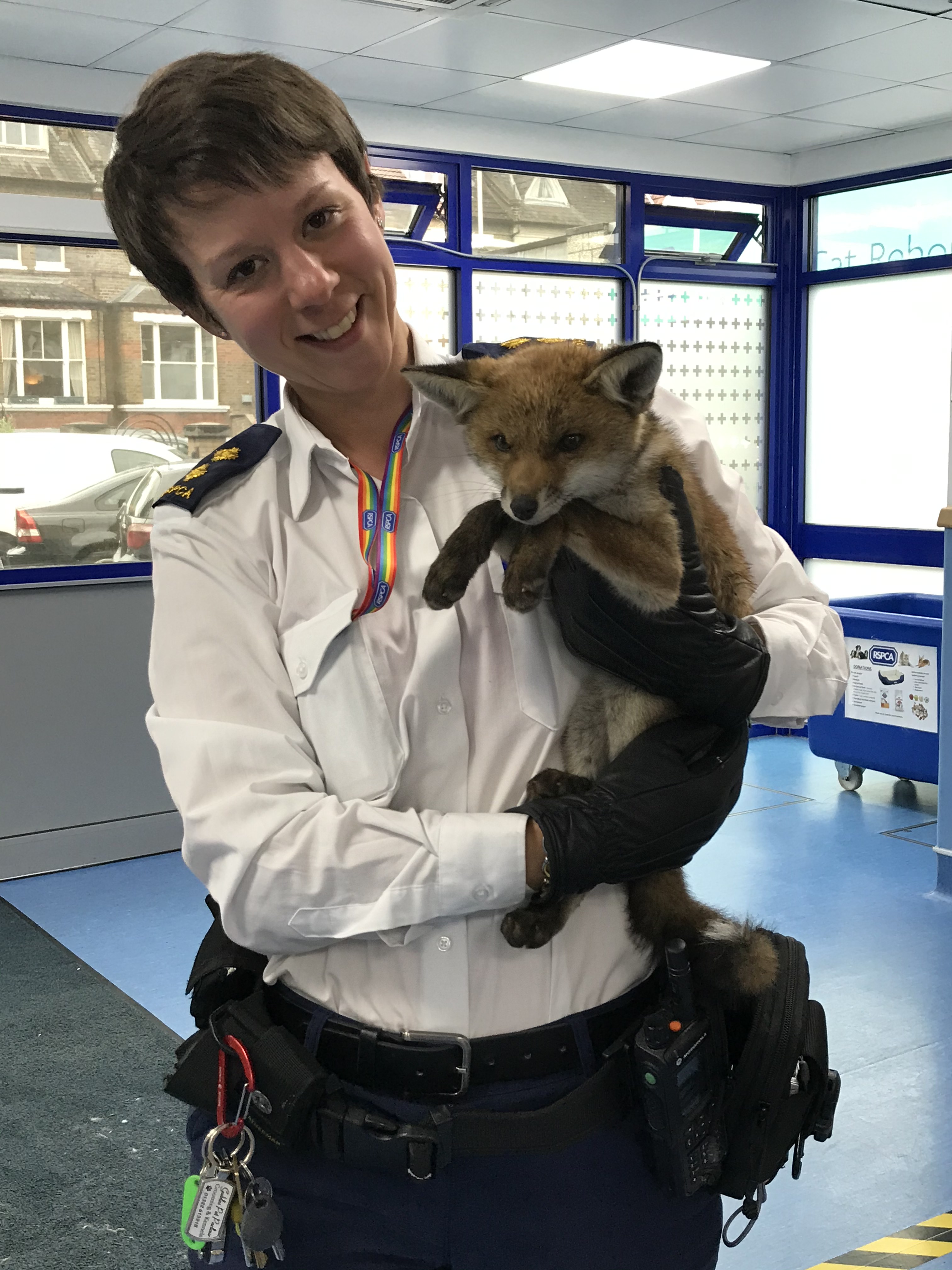 Rescued fox cub with RSPCA inspector Harriet Daliday RSPCA South London
