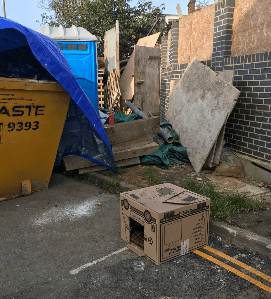 RSPCA South London abandoned cat