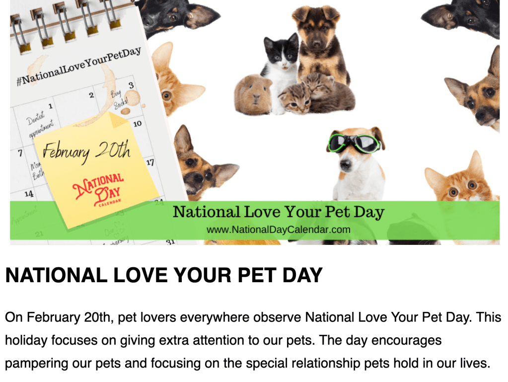 RSPCA South London pets