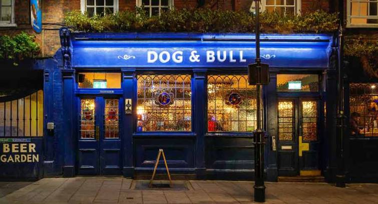 RSPCA South London Film Night