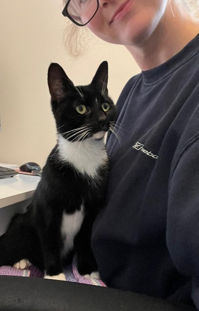 RSPCA South London Tinkerbelle the Cat