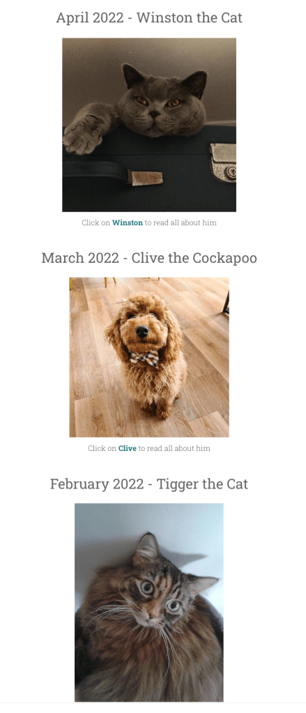 RSPCA South London Pet of the Month