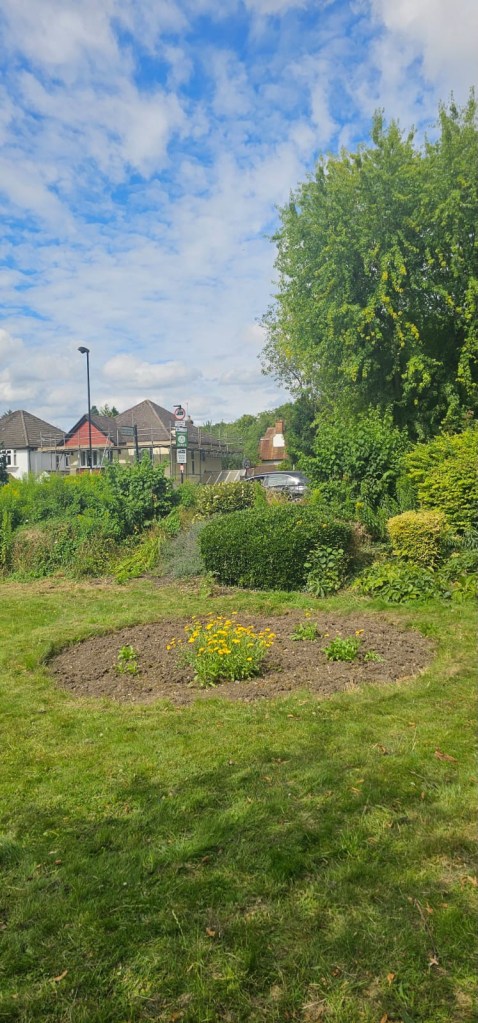 Coulsdon Re-Wilding, RSPCA South London