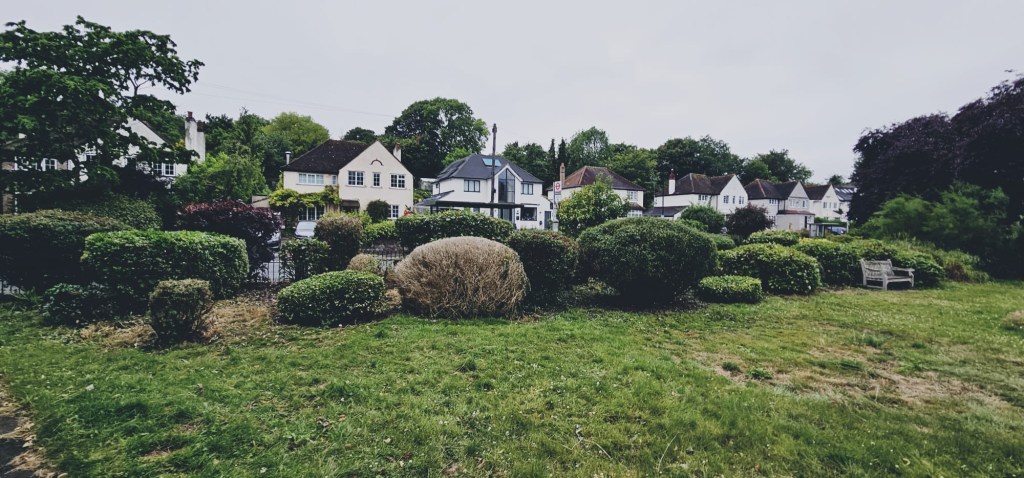 Coulsdon Re-Wilding, RSPCA South London