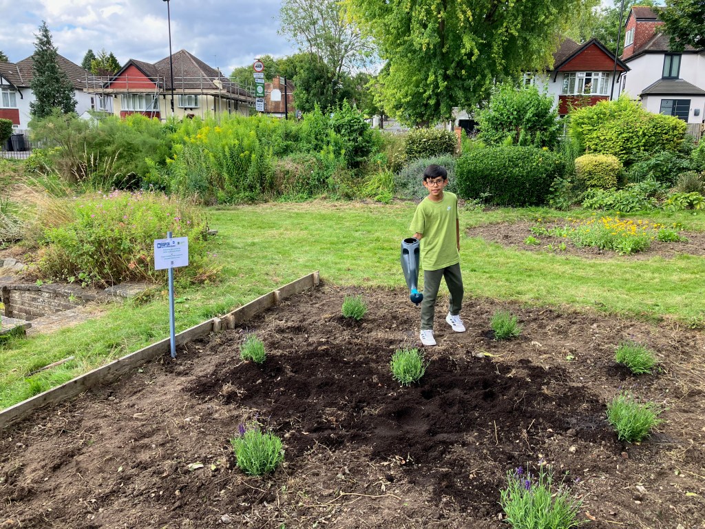 Coulsdon Re-Wilding, RSPCA South London